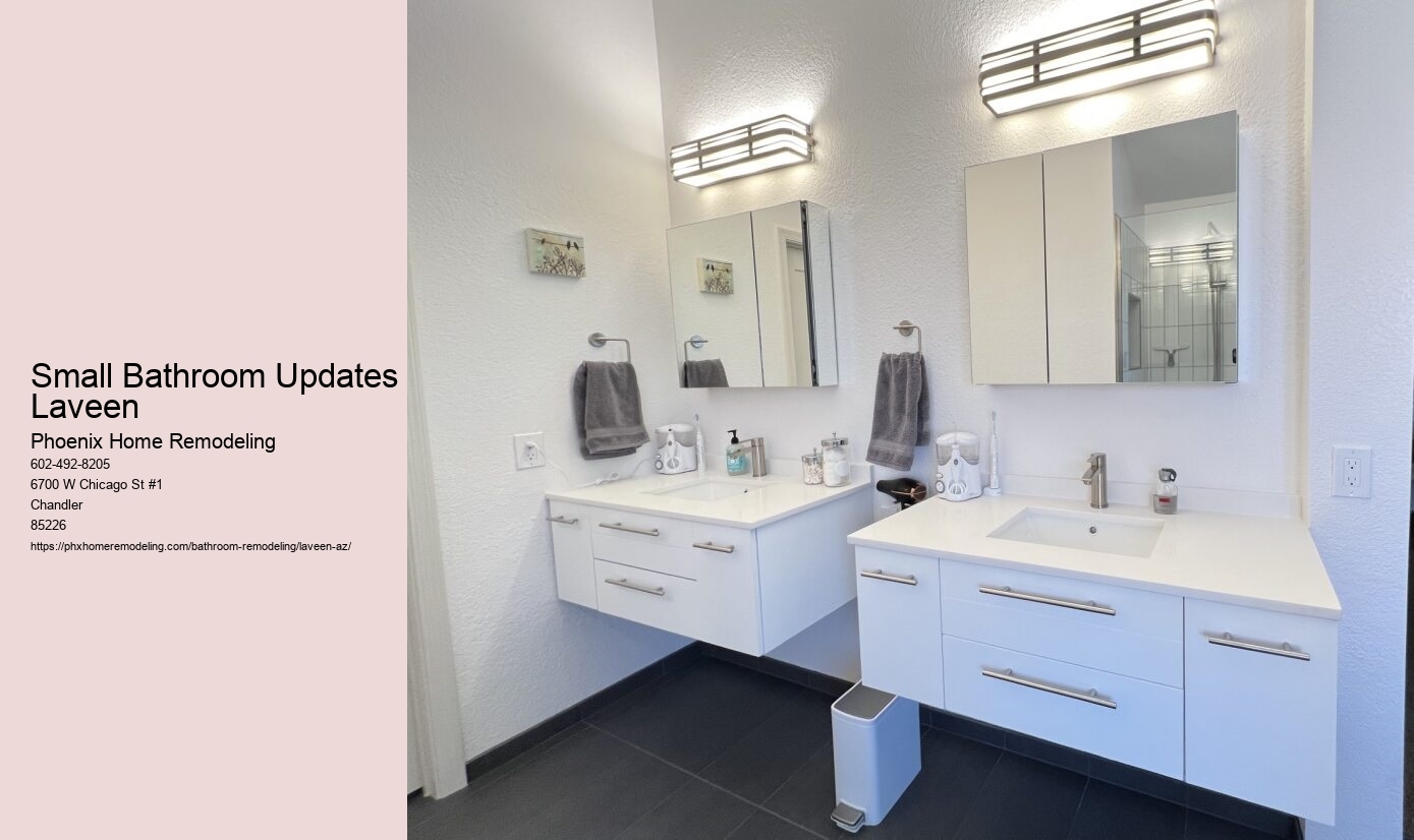 Small Bathroom Updates Laveen