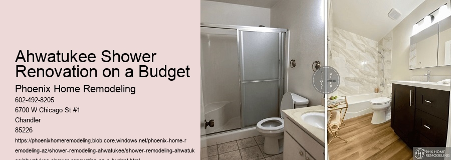 Ahwatukee Shower Renovation on a Budget