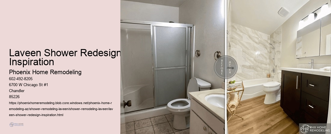 Laveen Shower Redesign Inspiration