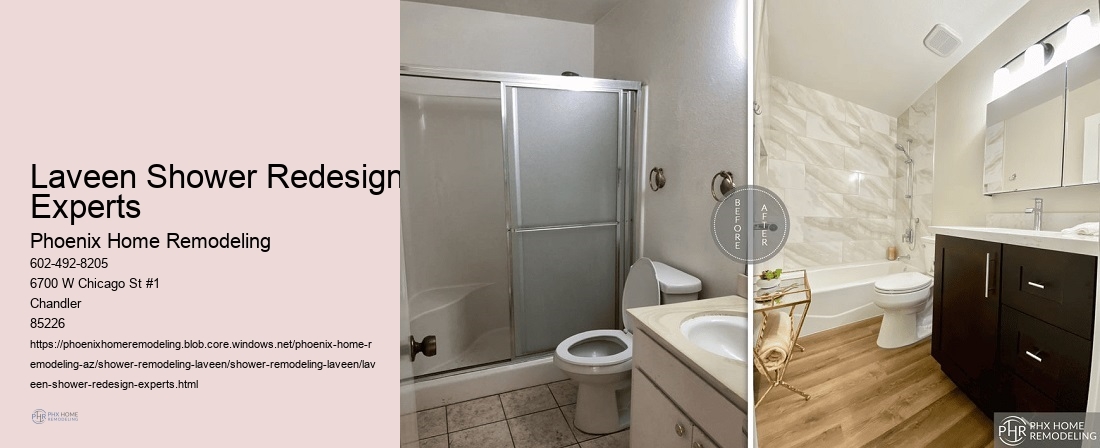 Laveen Shower Redesign Experts